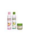 Mini-Pack-Bee-Essence-Healthy-Roots-Bundle.jpg